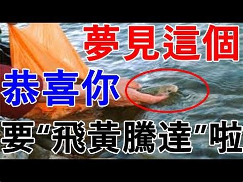 夢見大師|【夢見大師】夢見大師的驚人預兆：發橫財、升官發財一次滿足！。